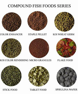 Aquatic Nutrition